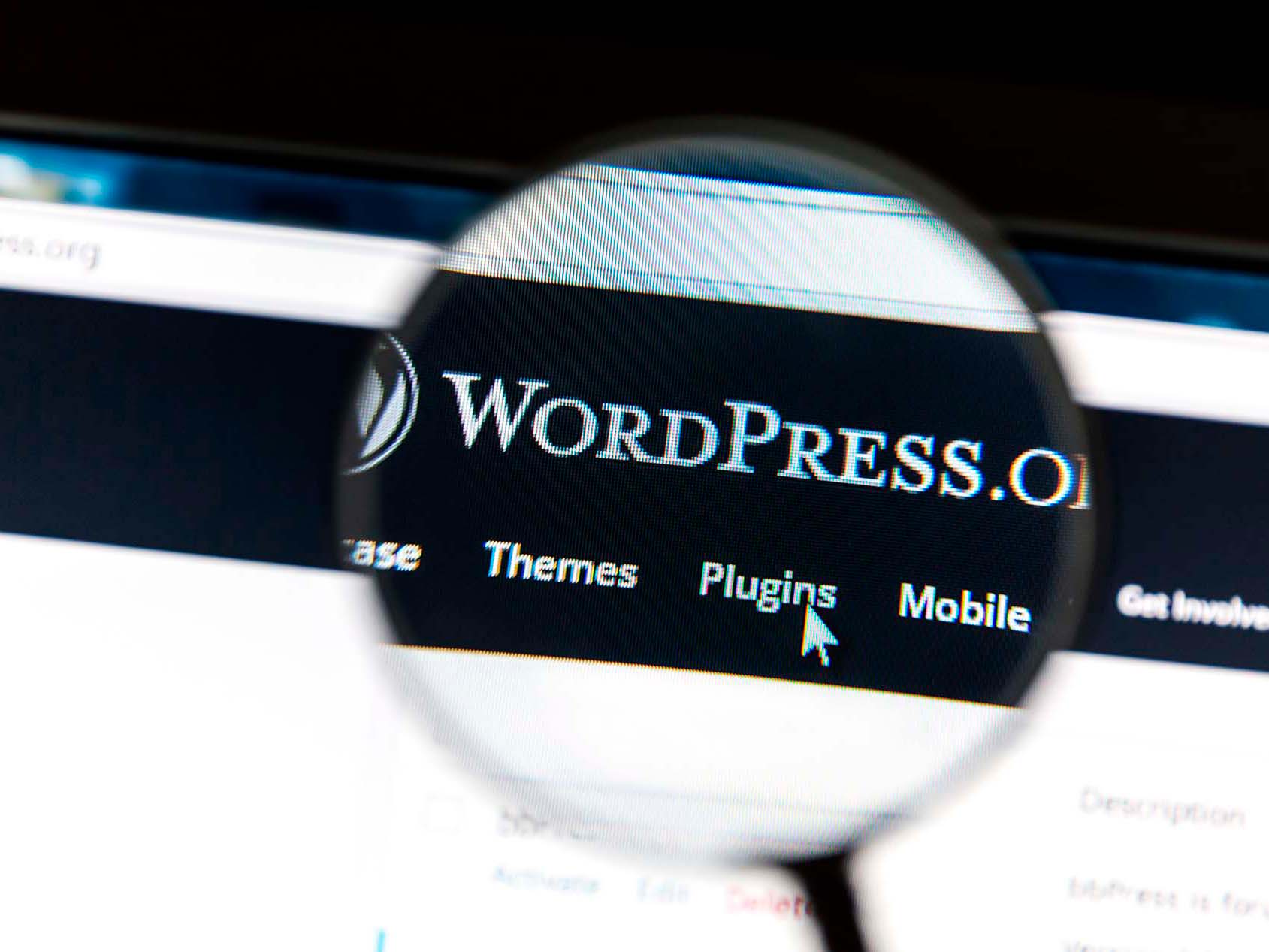 WordPress perusteet, osa 1 - Domainkeskus